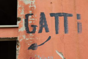 Bibbito indica l'ingresso per la stanza dei Gatti